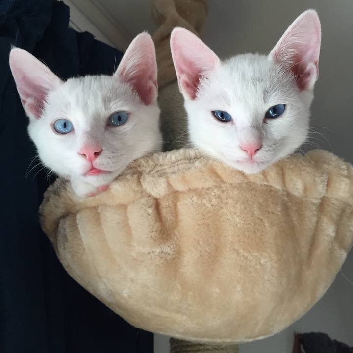 1a193668 f312 468f bbf1 7049bf440d4a