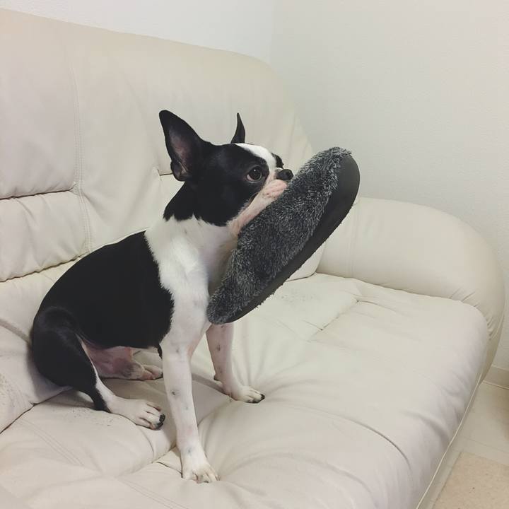 1a196d91 1030 49a3 b08f 88331e5e002b