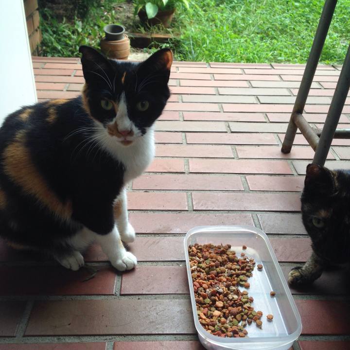 1a1997f0 5456 4fec a7f0 69567900aa0a