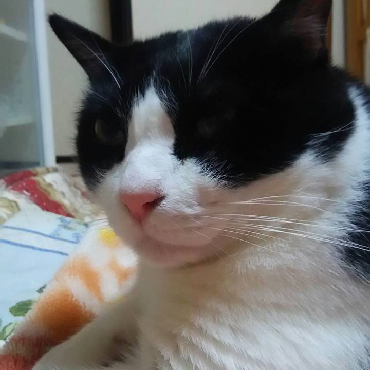 1a1baadf f572 49ff b6c0 b9277f9fc649