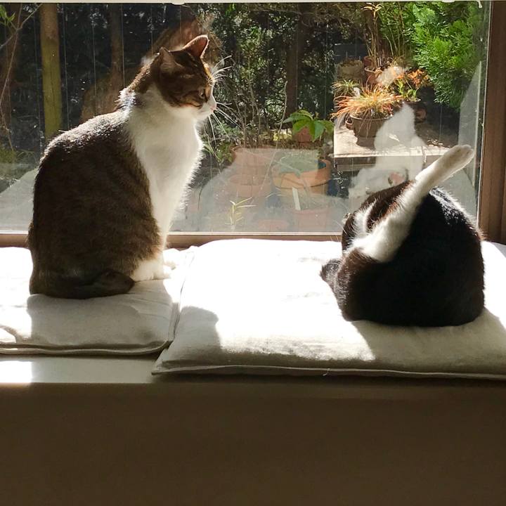 1a1bb861 e856 411e b850 eae55a308d38