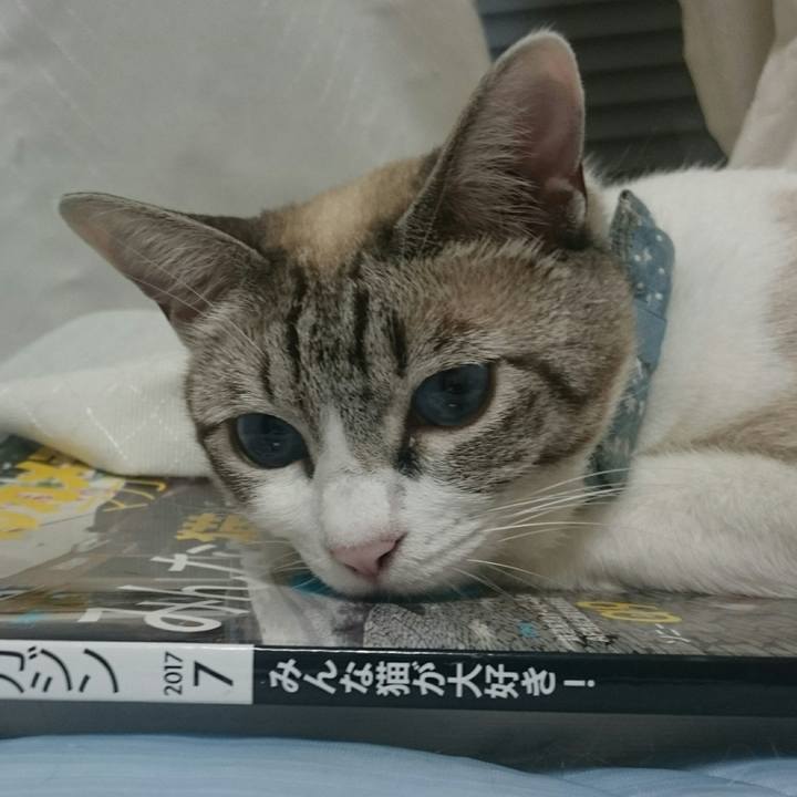 1a1d2954 fdff 4be3 a1f8 45613fdb6f7e