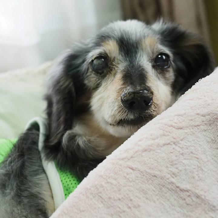 1a1e3bf0 323d 446e 8c90 ba4bdc2926c2