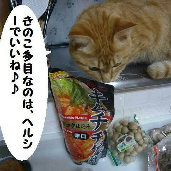 1a1f0f3e c600 46e3 bb28 c2c5eefb905b