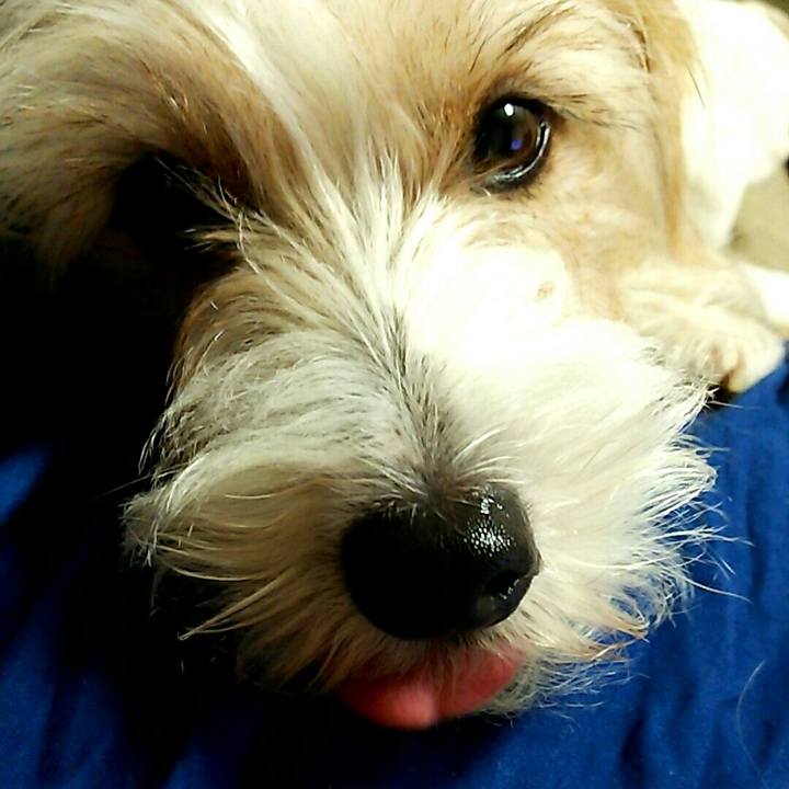 1a1f183b 7548 4ee8 931e 05f72c890377