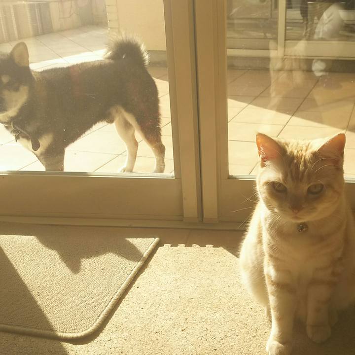 1a1f4729 59d3 4acd 81f7 0b1046e0cccf