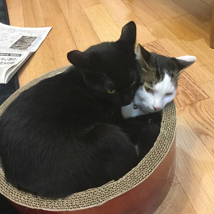 1a1f5d93 ef3d 45d3 ae13 8c7fd3afcf61