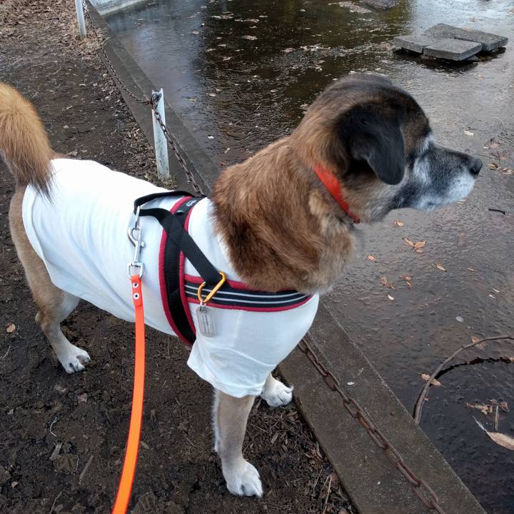 1a1f635f 0675 4aba 8c56 744124da72e9