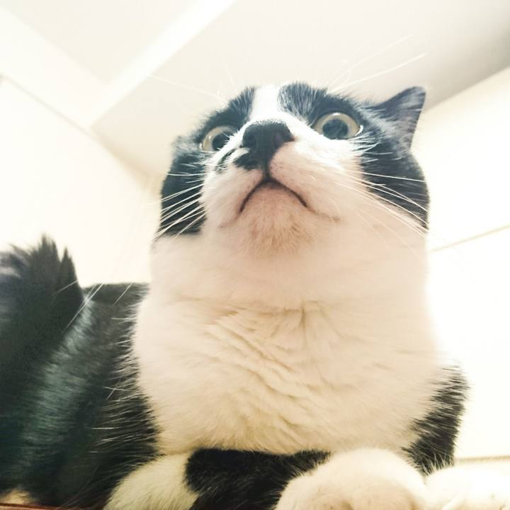 1a1fdfdb 7e94 47de 81de e65fc808adb4