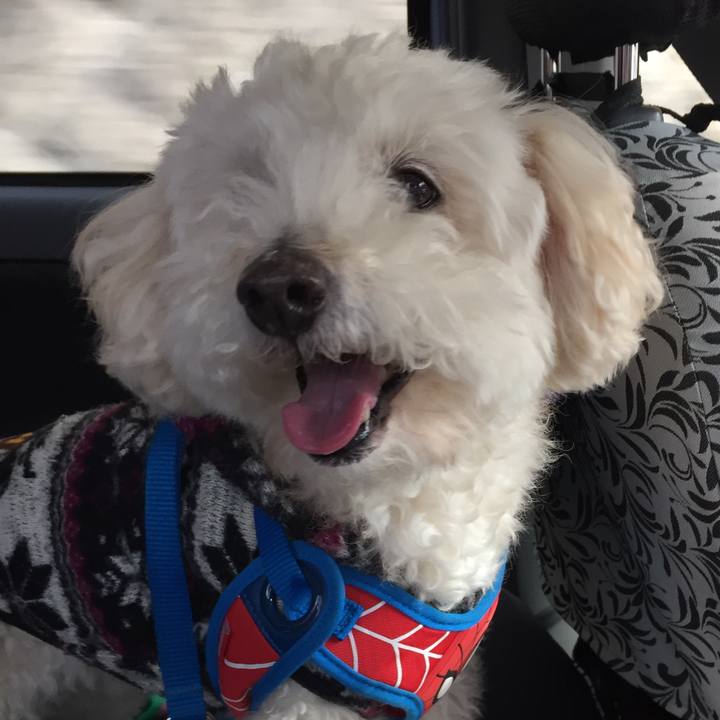 1a2004b0 ae1b 468a 9ea3 5d80d73420f7