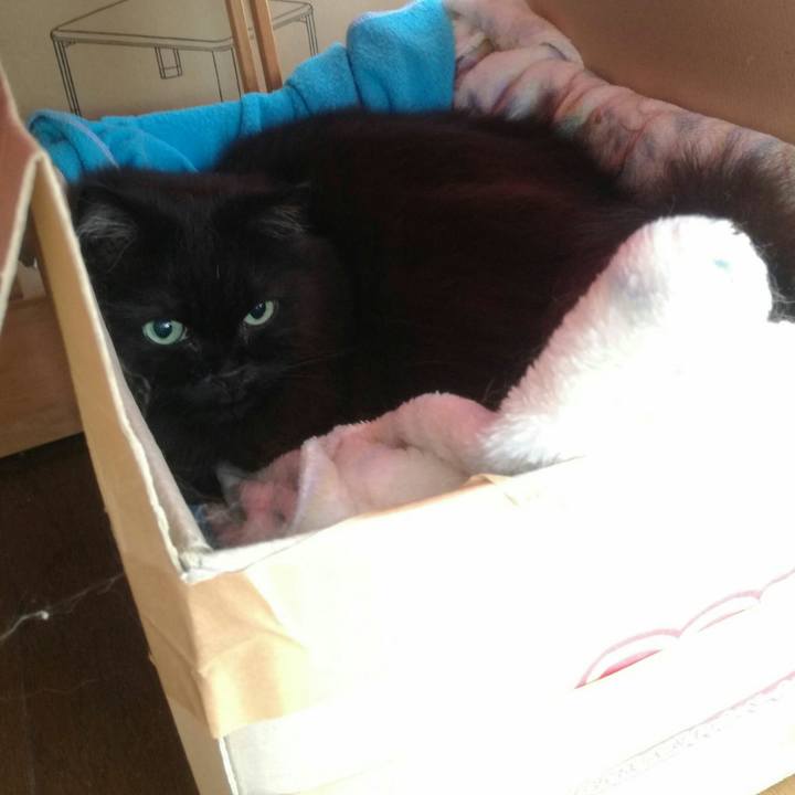 1a200caa 21ff 45ed a377 05c61fc62cd6