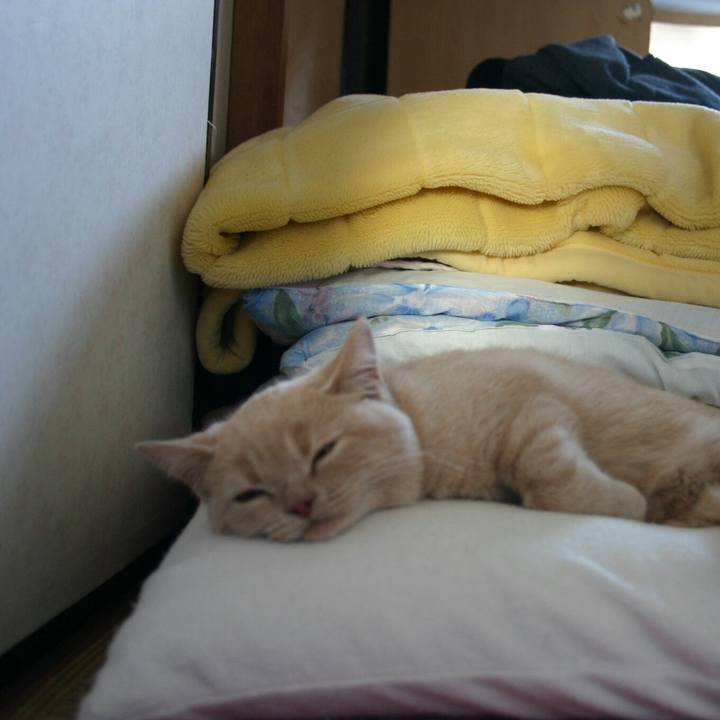 1a202def 4158 49ae af73 78c5b73ac4ed