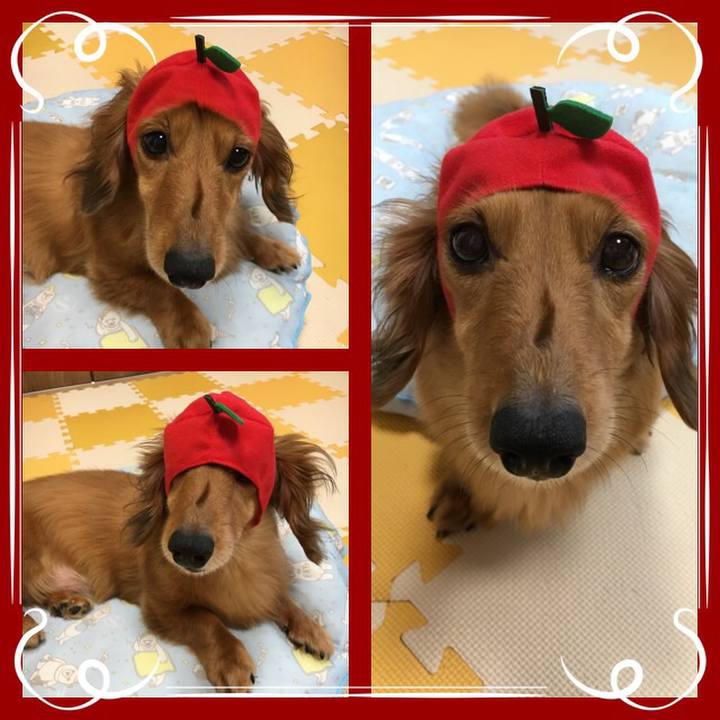 1a204efe 6bdd 4327 8e26 2a896afe5628