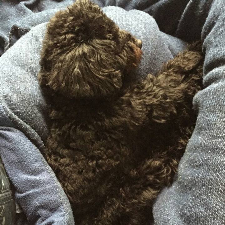 1a205c57 8d25 475c aaed 665a396d78f6