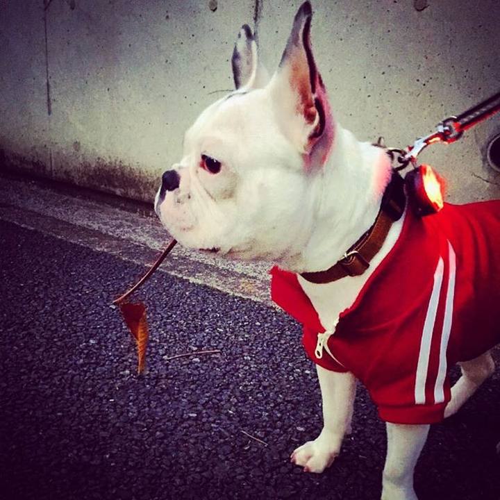 1a208b2c df24 4dc7 a4dd 1a15dd226894