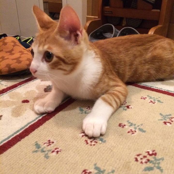 1a212f01 0fbd 4d4c b03a b3124155664a