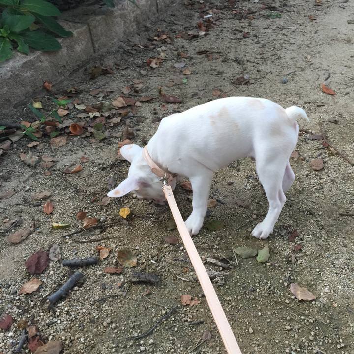 1a21c109 aa60 4505 b457 d9ebd11810e1