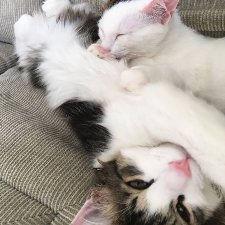 1a21dbc7 bc18 4f75 bba4 245eba4cadef