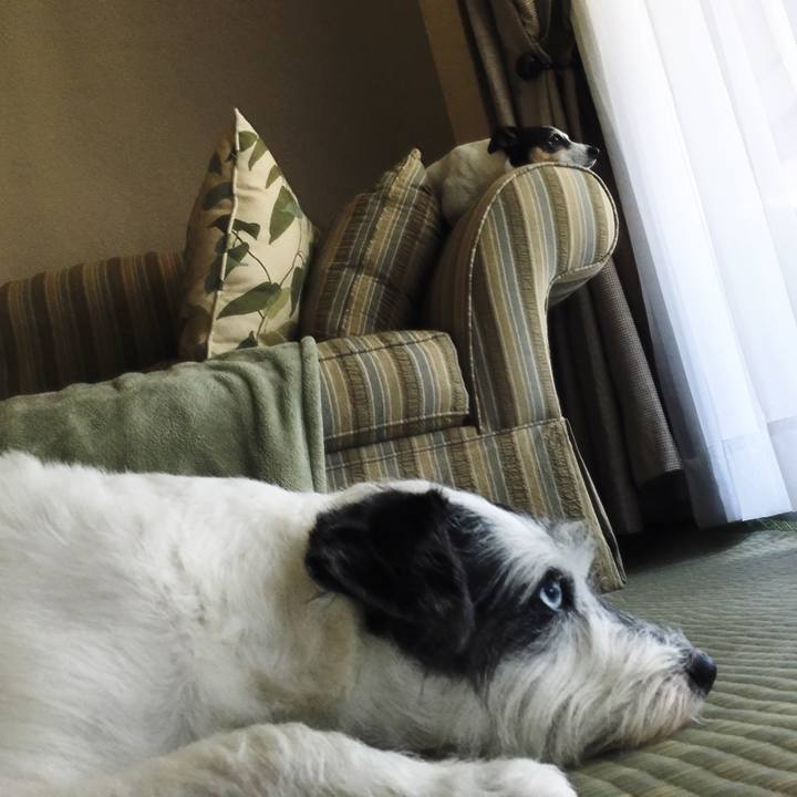 1a220d3b f7bf 4481 8bd5 f2e0cfc8431c