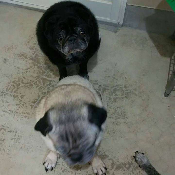 1a2324c4 cd8a 4a51 ae37 83a043e302ce