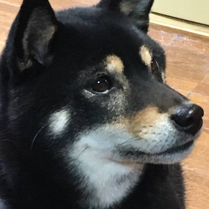 1a23a1cf a031 4b21 bc91 58d7e092e795