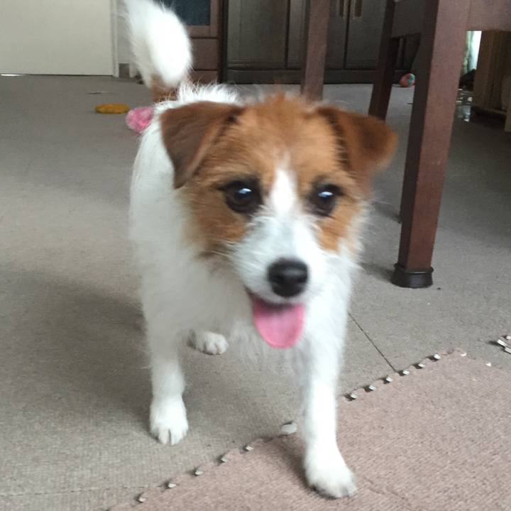 1a244bb2 fd8b 4199 8838 1726c3deace5