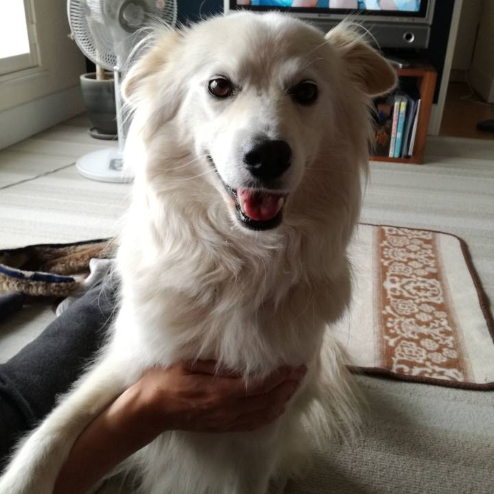 1a24bfe6 b038 415f b477 dfeecc9d3fdf