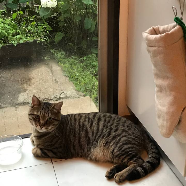 1a24e416 639c 41f3 939f bc9f9280689c