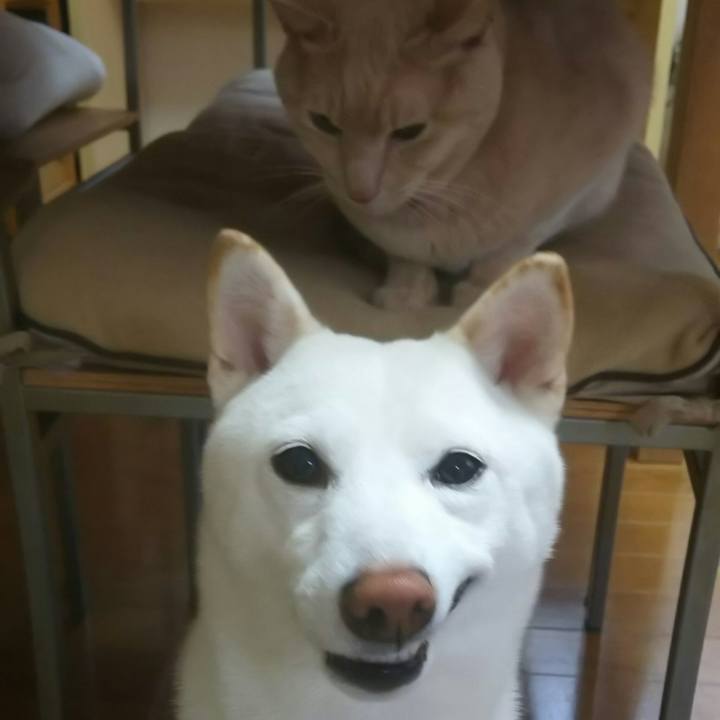 1a24ec66 f2c2 4b10 9ebd 5509dbec3da9