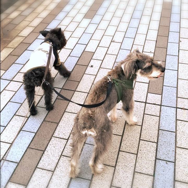 1a251bb4 7cfe 4e06 b38f 5ae146931f62