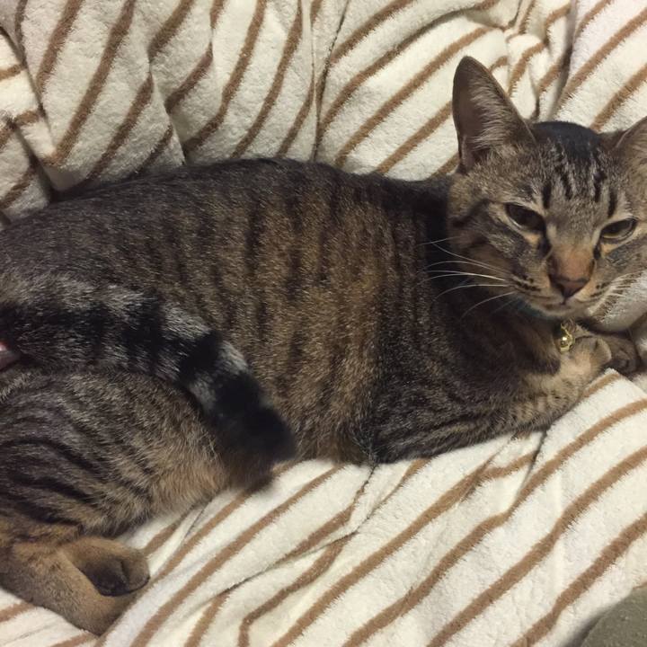 1a25b709 23b6 4c9c a869 e57026b8032f