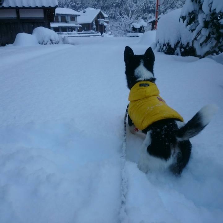 1a25c90f 7409 4324 8155 7c0b5ae8be6d