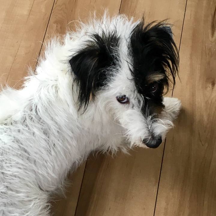 1a25cab5 e783 47e3 8634 26737f64f5bd