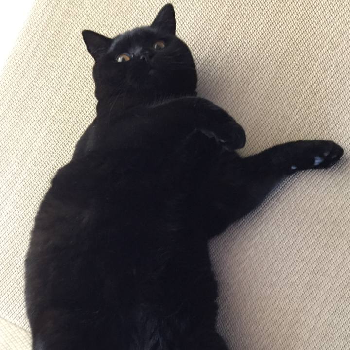 1a25cedb 2d01 4c72 9c8e 03aca736bf38