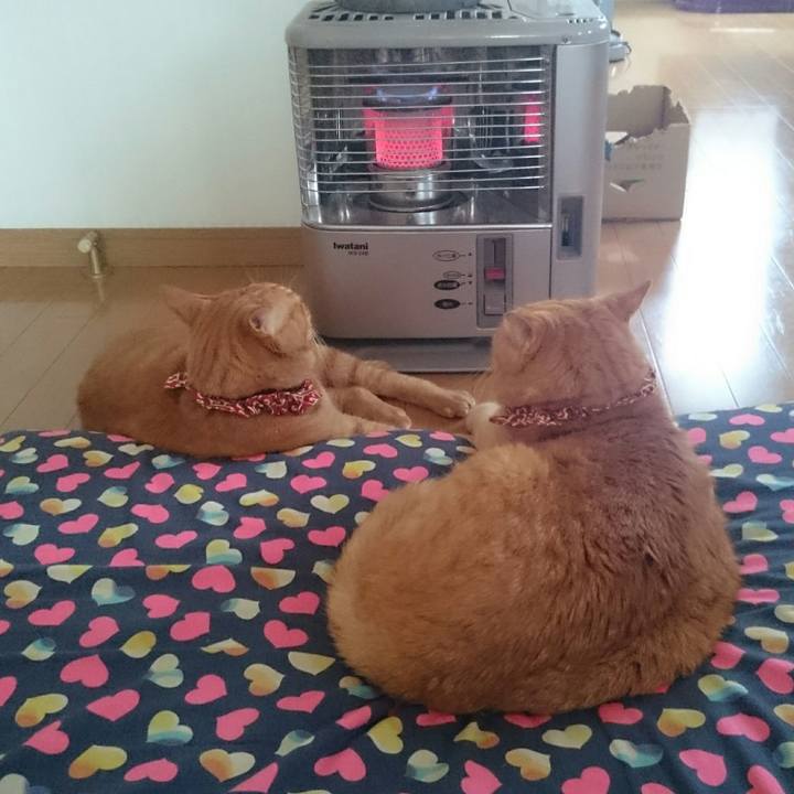 1a271c79 e834 4ce5 8405 db82296243ab