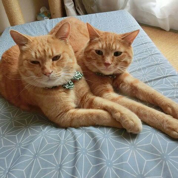 1a276d2c 4ad3 48ec baa0 d825e0754509