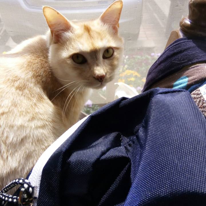 1a277728 9bba 4d6d a460 478fff1d2405