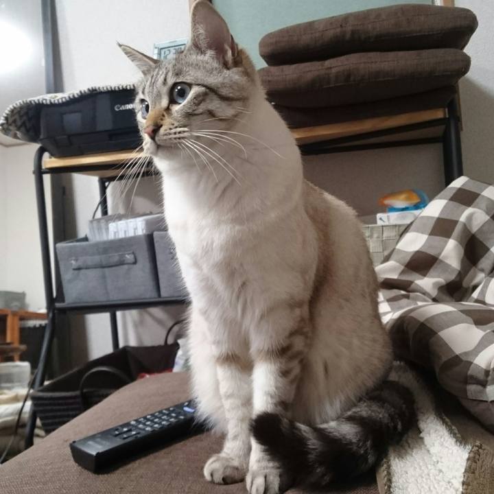 1a27900b 2921 4020 8e0a b4e0465b47f9