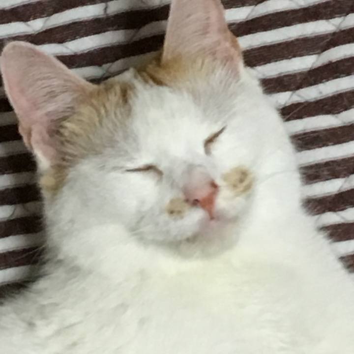 1a281b09 ac59 457e 8c82 4f2da326b7fe