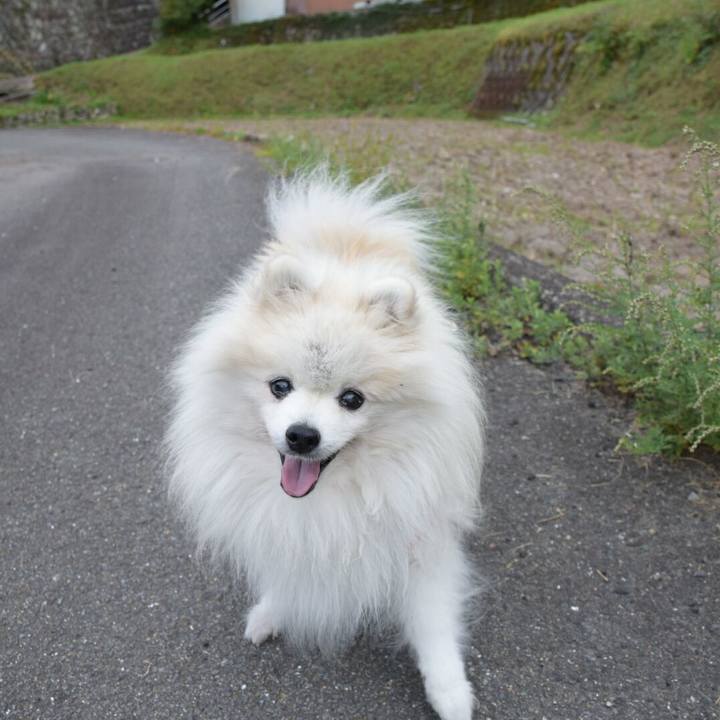 1a285b0a b8af 4693 8edd 72f494cedfcf