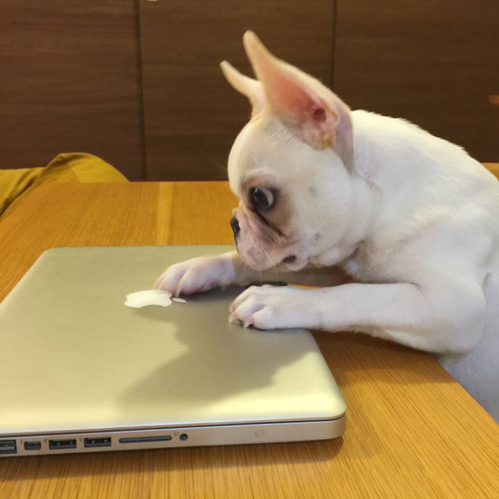 1a291cad 415d 4dd2 b128 73b990b0b5e9