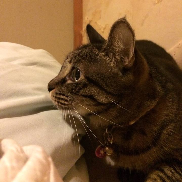 1a2a2977 15a4 4f71 bc09 cfef921b6865