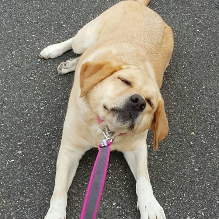 1a2a5451 b563 4c14 bd33 a2103504a42f