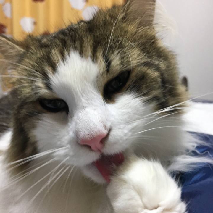 1a2a692a fa35 488f 8a66 4eb6db1b5f05