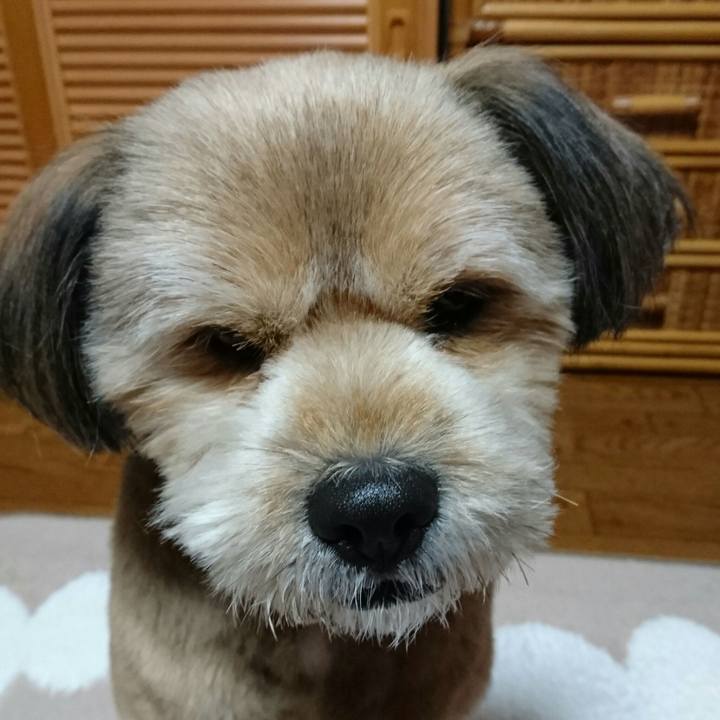 1a2abbec e1de 4faa b23e e7c59dfead58