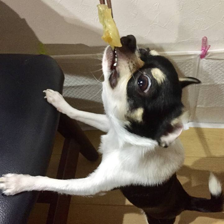 1a2ae86f 90b8 40a3 b3a9 a87cace93125