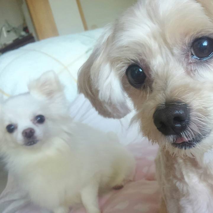 1a2b6420 4464 420d a679 ca5129db0f39