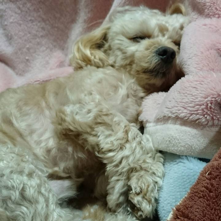 1a2b7325 ce6d 418b b6ef c0694e2f4849