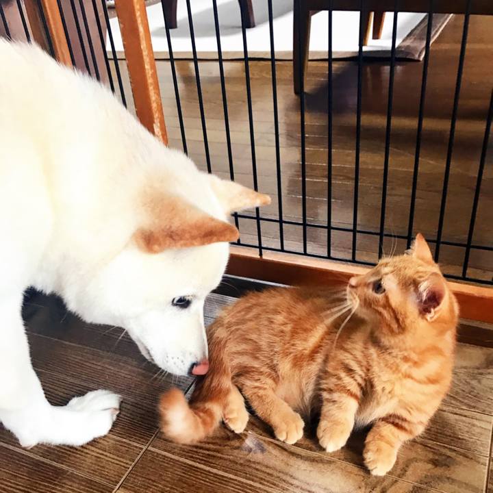 1a2d6c9c ad18 4d5d bf17 8920d528d870