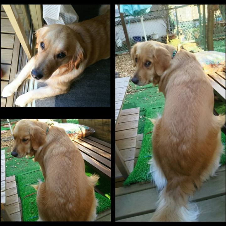 1a2dae38 5665 44f1 bc0d c7da8a882cd3